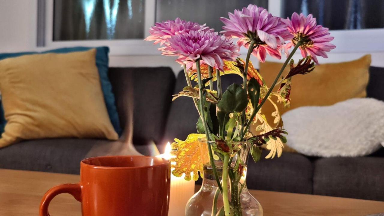Primrose Boutique Apartment アシュドッド エクステリア 写真