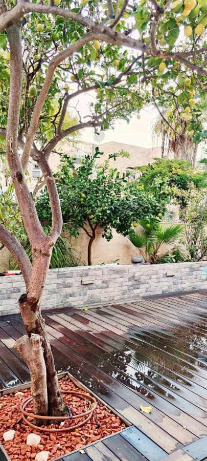 Primrose Boutique Apartment アシュドッド エクステリア 写真